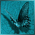 :icondampire-d: