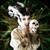 :icondamselinthedollhouse: