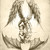:icondan-hayden: