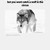 :icondan-the-man-2013: