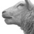 :icondan100200z: