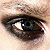 :icondan13l15: