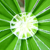:icondan1banan1: