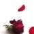 :icondan220889: