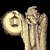 :icondan256: