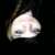 :icondana-lynne: