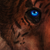 :icondana-risky: