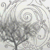 :icondana-wonderspace: