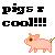 :icondanagandee21: