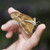 :icondancedadphoto: