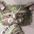 :icondancerdk2602: