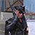 :icondancers-avatar: