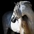 :icondanceswithponies: