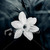 :icondanceswiththestars: