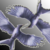 :icondancetildawn7: