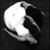 :icondancing-in-the-night: