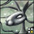:icondancing-platypus: