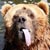 :icondancingbear73: