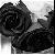 :icondancingqueen1219: