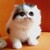 :icondandakobajai: