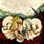 :icondande1ion: