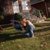 :icondandelion-salad: