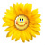 :icondandelion44: