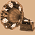 :icondandelioneyes: