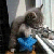 :iconDandelionMage: