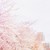 :icondandypop11:
