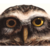 danfs85 :icondanfs85: