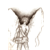 :icondangel-wings: