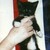 :icondanger-erin: