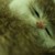:icondanger008: