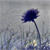 :icondangerous-love: