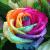 :iconDangerousXBeauty: