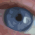 :icondangie: