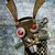 :icondangoprime: