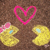 :icondani-x-1591: