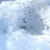 :icondanibees: