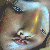 :icondanicaparry: