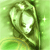 :icondanicastar: