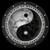 :icondaniel-ar: