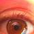:icondaniel8902: