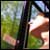 :icondanielbaer: