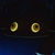 :icondanielisberg: