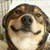 :icondanieljelonek: