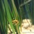 :icondaniellebphotography: