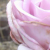 :icondaniellecullen:
