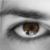 :icondaniellemulcahy: